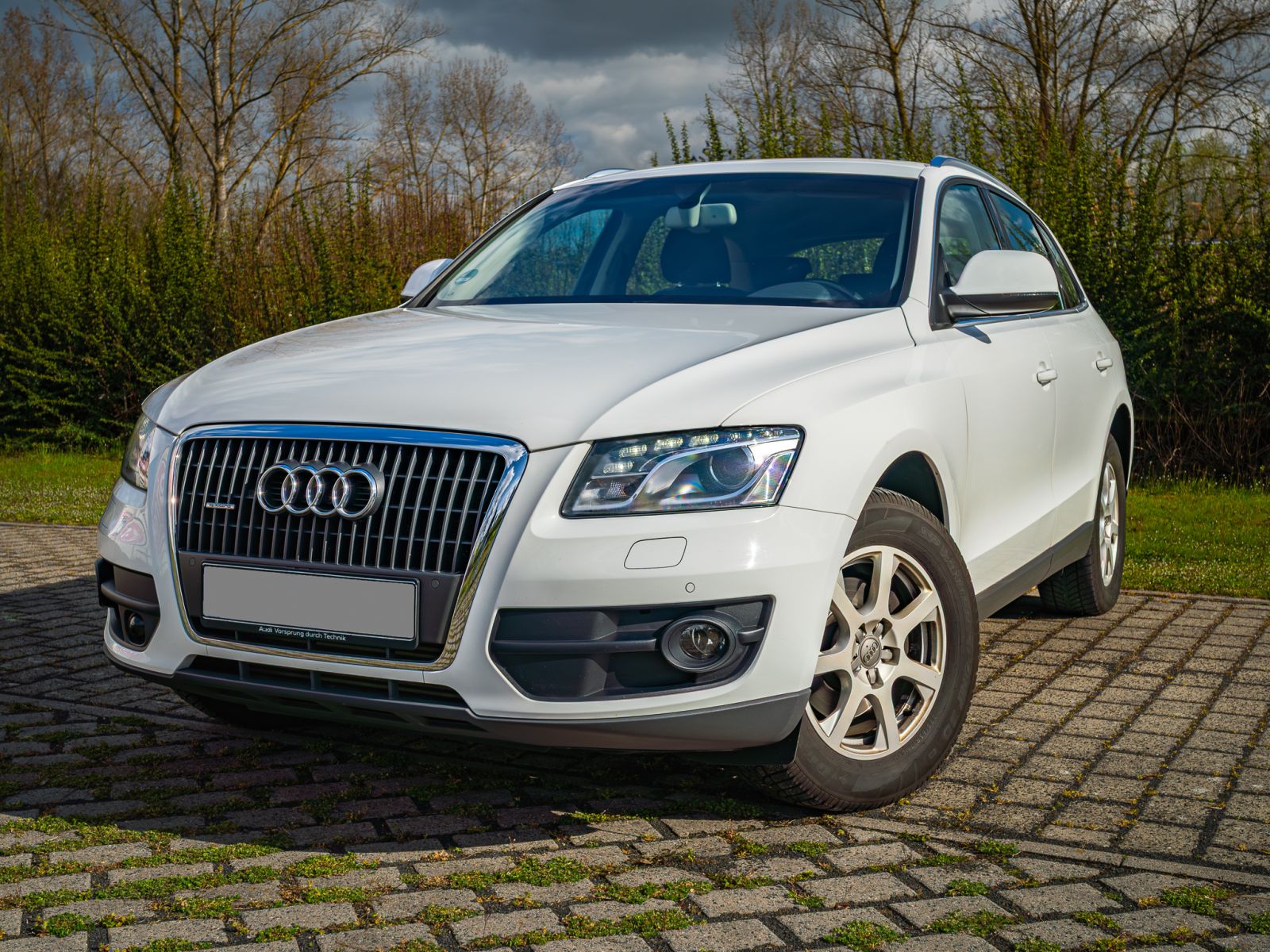 Audi Q5 2.0 TFSI quattro bei Autozentrum Sava in Oestrich-Winkel